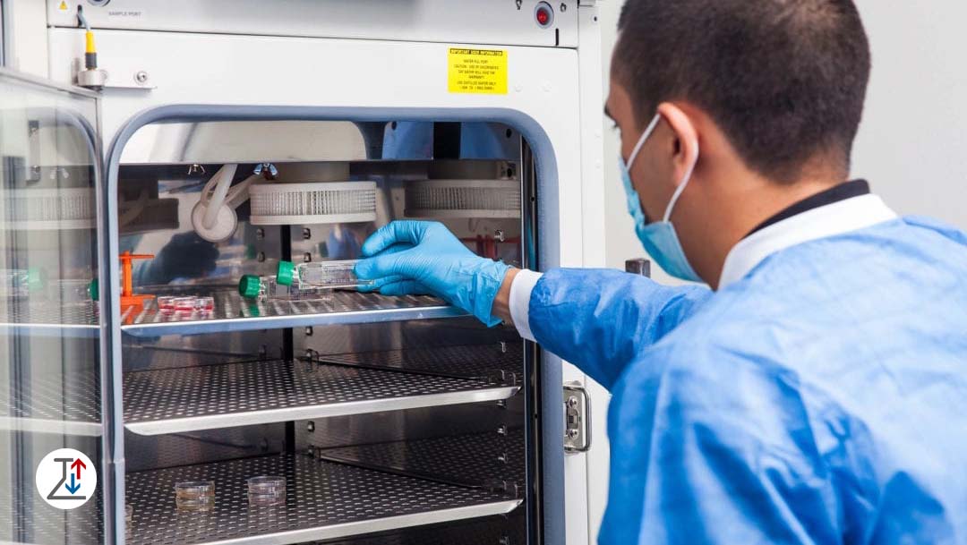 What is a Temperature Chamber and What Are Its Applications? A Comprehensive Guide to Temperature Testing